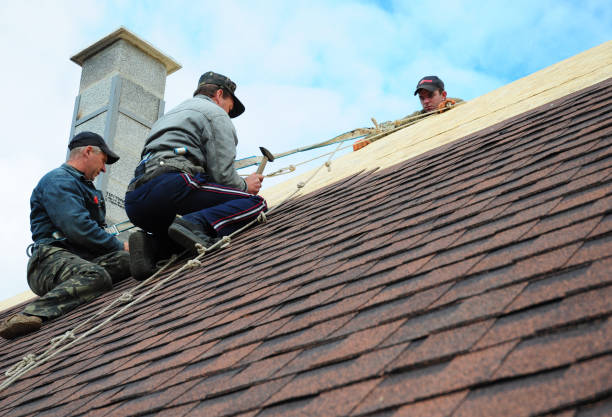 Best Local Roofing Companies  in Shoemakersville, PA